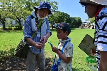 ガイドの方によるセミについての説明を聞く親子の写真