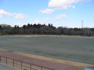 総合公園多目的運動場写真