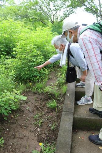 植生リストに未掲載の植物を発見した高井さん