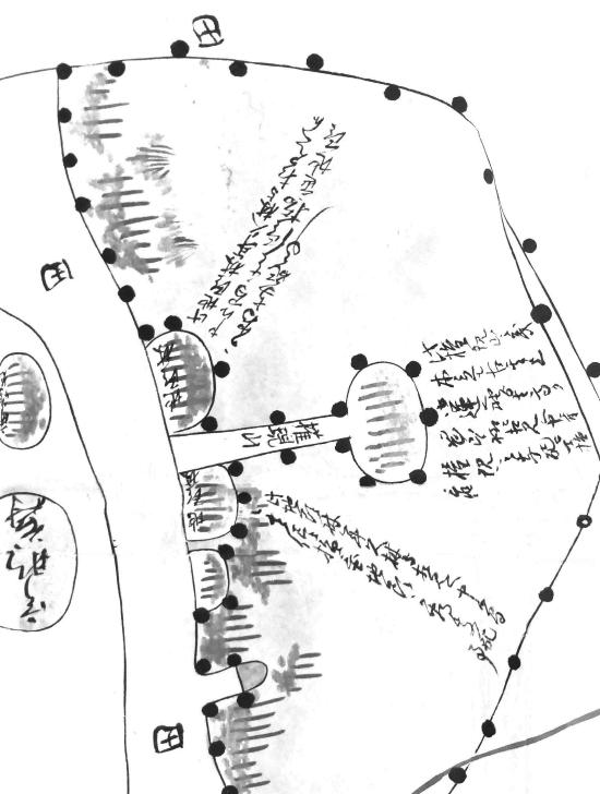 寛文年間開発当時の「権現山」（千葉県文書館所蔵「長沼新田絵図」より