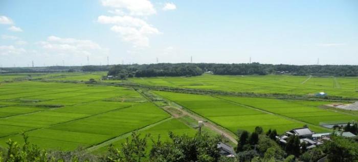 亀崎（右）から物井（左）方面の風景（佐倉市寺崎より）の写真